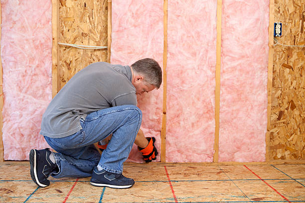 Types of Insulation We Offer in Bloomingdale, GA